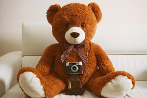 Big teddy bear with vintage 35mm cam