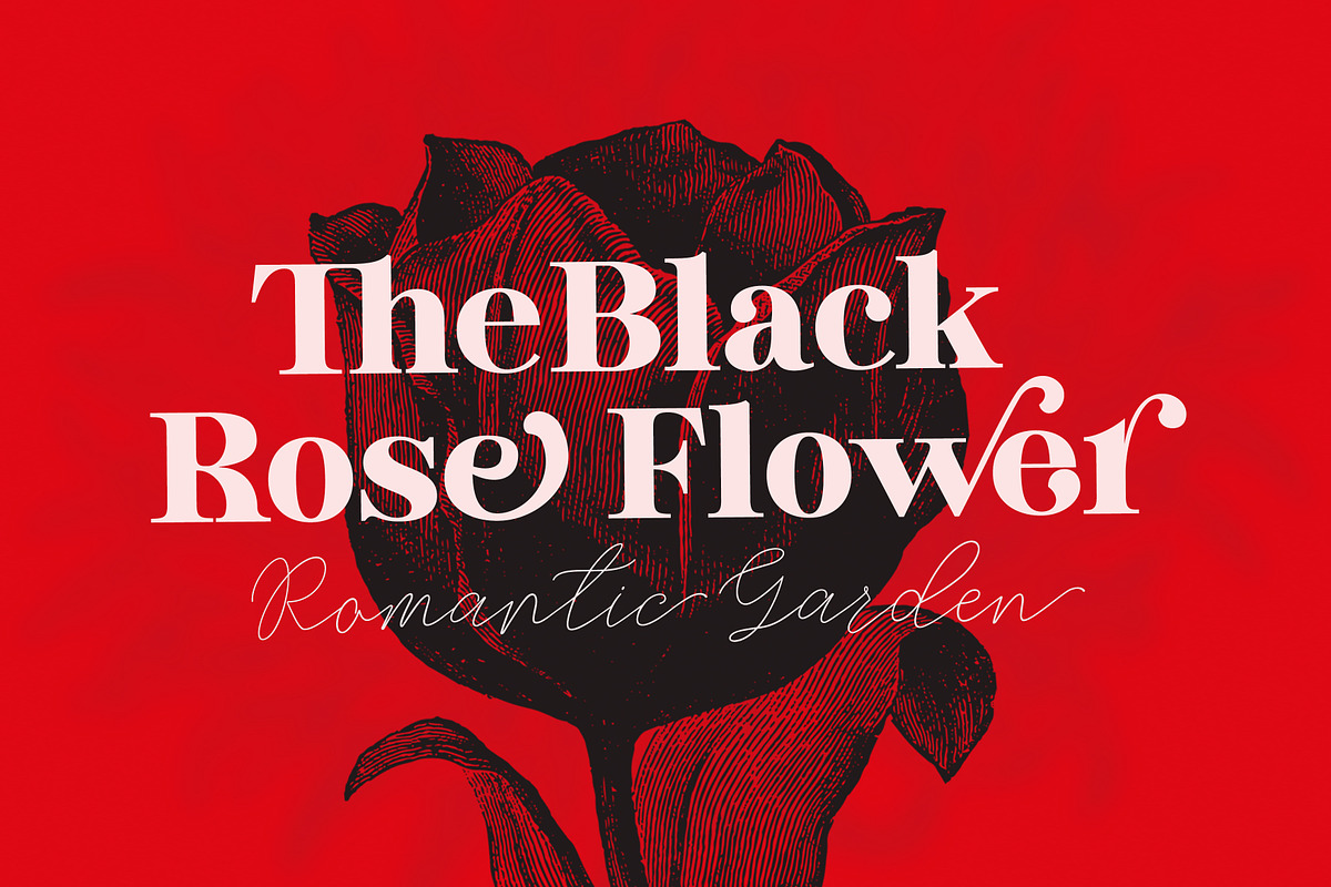 Black Starsdust (Font Duo), a Serif Font by Genesis Lab (Photo 5 of 10)