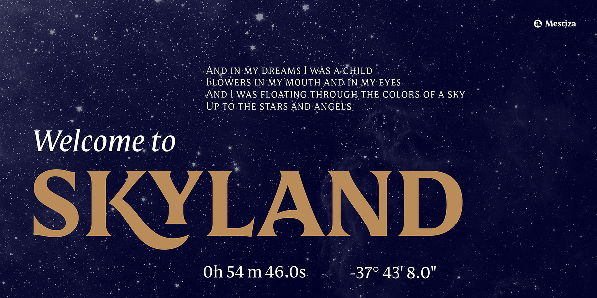 Mestiza, a Serif Font by Lechuga Type (Photo 7 of 16)