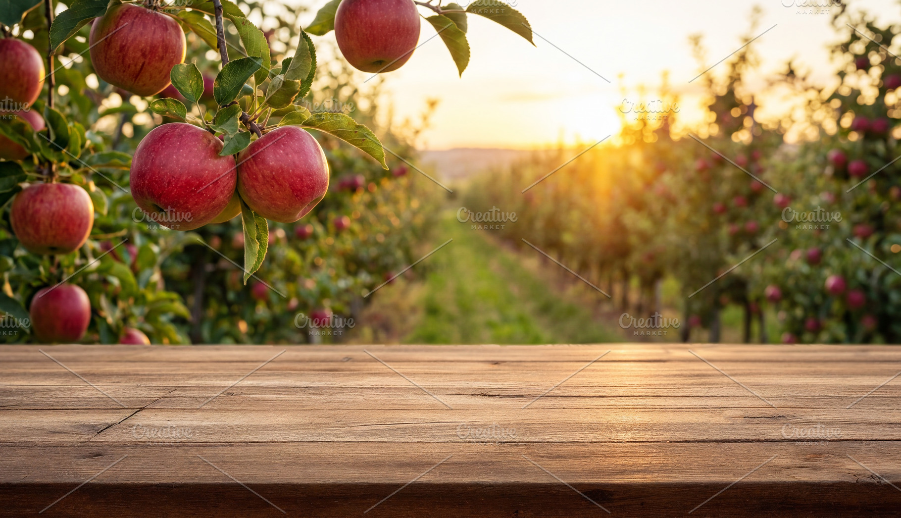 Empty wooden tabletop - apple garden, a Food & Drink Photo by Volff