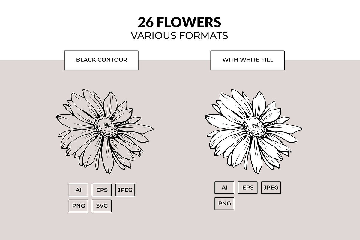Flowers Line Art. Floral Clipart, a Decorative Illustration by ilonitta (Photo 5 of 11)