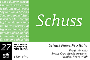 SchussNewsProItalic No.27 (1 Font)
