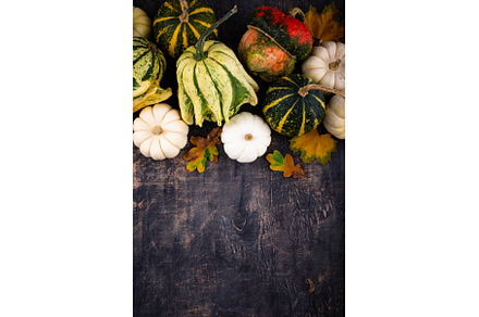 Autumn fall background with pumpkins, a Holiday Photo by Yulia Furman