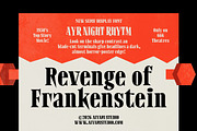 Night Rhytm, a Serif Font by Aiyari (Thumbnail 11 of 11)