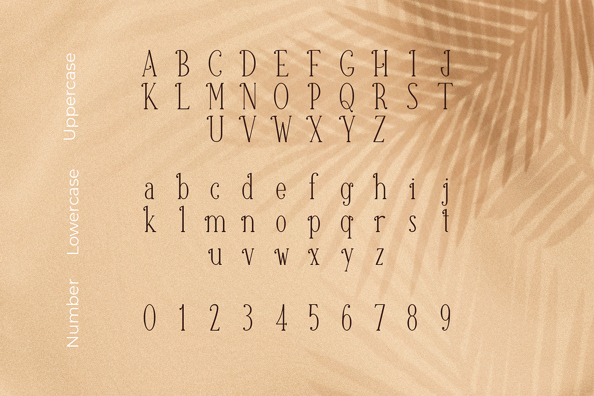 Canabi | A Classic Serif Font, a Serif Font by Avchi (Photo 4 of 10)