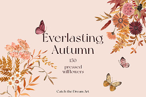 Everlasting Fall Pressed Wildflowers