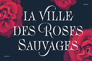 Acris Serif, a Serif Font by Andrey Sharonov (Thumbnail 2 of 16)