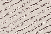 Quinsi Modern Typeface, a Serif Font by Penatic Studio (Thumbnail 6 of 10)