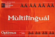 Optimus - Serif font family, a Serif Font by Artistic & Unique (Thumbnail 5 of 12)