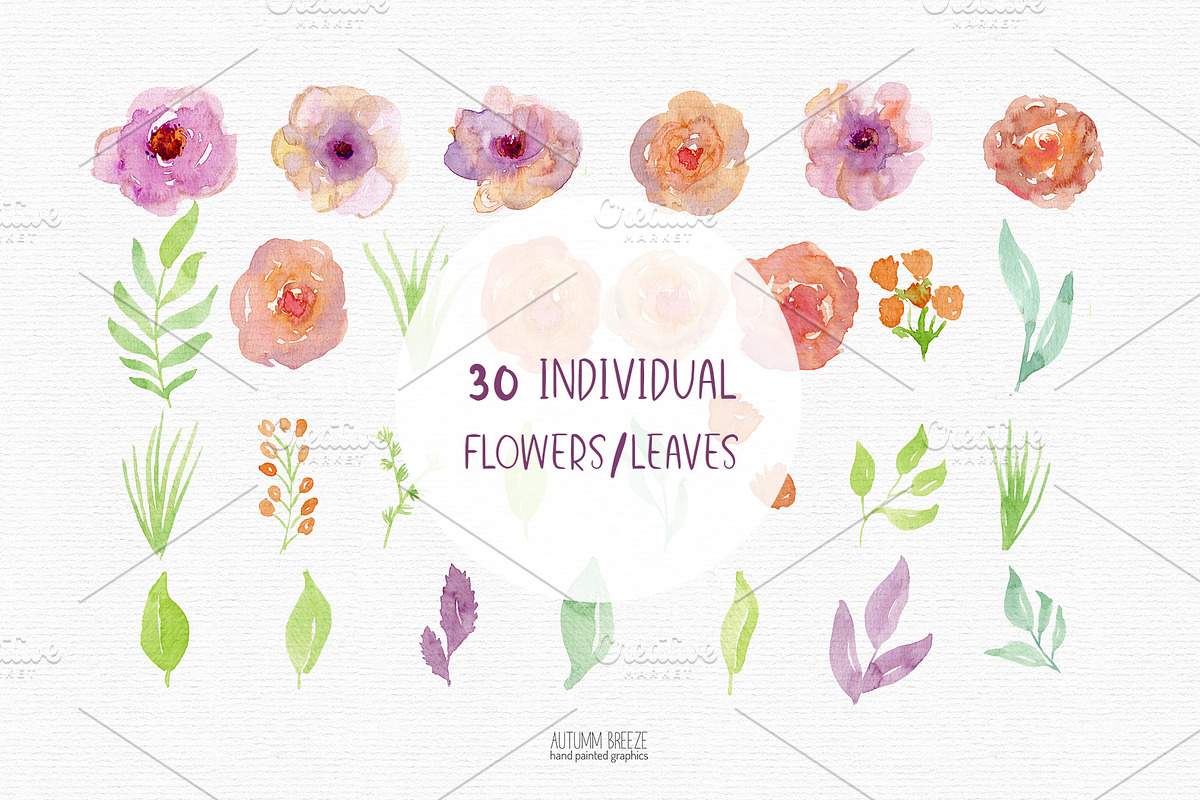 Watercolor flower clipart, a Decorative Illustration by Autumn Breeze (Photo 2 of 4)
