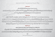 Archive Garamond Pro Family of 4, a Font by Archive Type Fonts (Thumbnail 9 of 14)