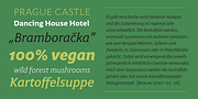 Harri Text, a Sans Serif Font by Blancoletters (Thumbnail 2 of 14)