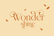 Wondershine, a Serif Font by INKSUN™ (Thumbnail 1 of 14)