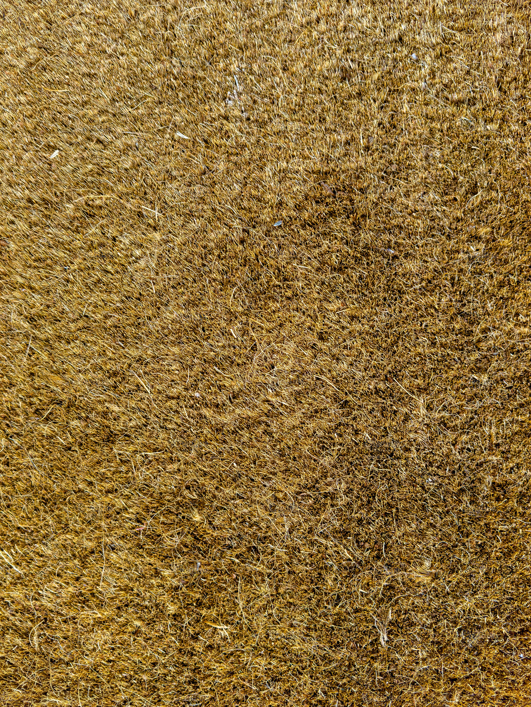 Door Mat Background Texture, a Background Photo by THP Creative