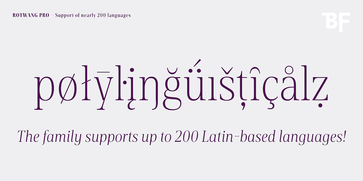 BF Rotwang Pro, a Serif Font by BrassFonts (Photo 13 of 15)