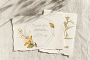 Autumn sentiment - vector clipart, a Decorative Illustration by Vasmila (Thumbnail 7 of 14)