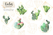 Watercolor Exotic Cactus Collection, a Texture Illustration by LarysaZabrotskaya (Thumbnail 4 of 11)