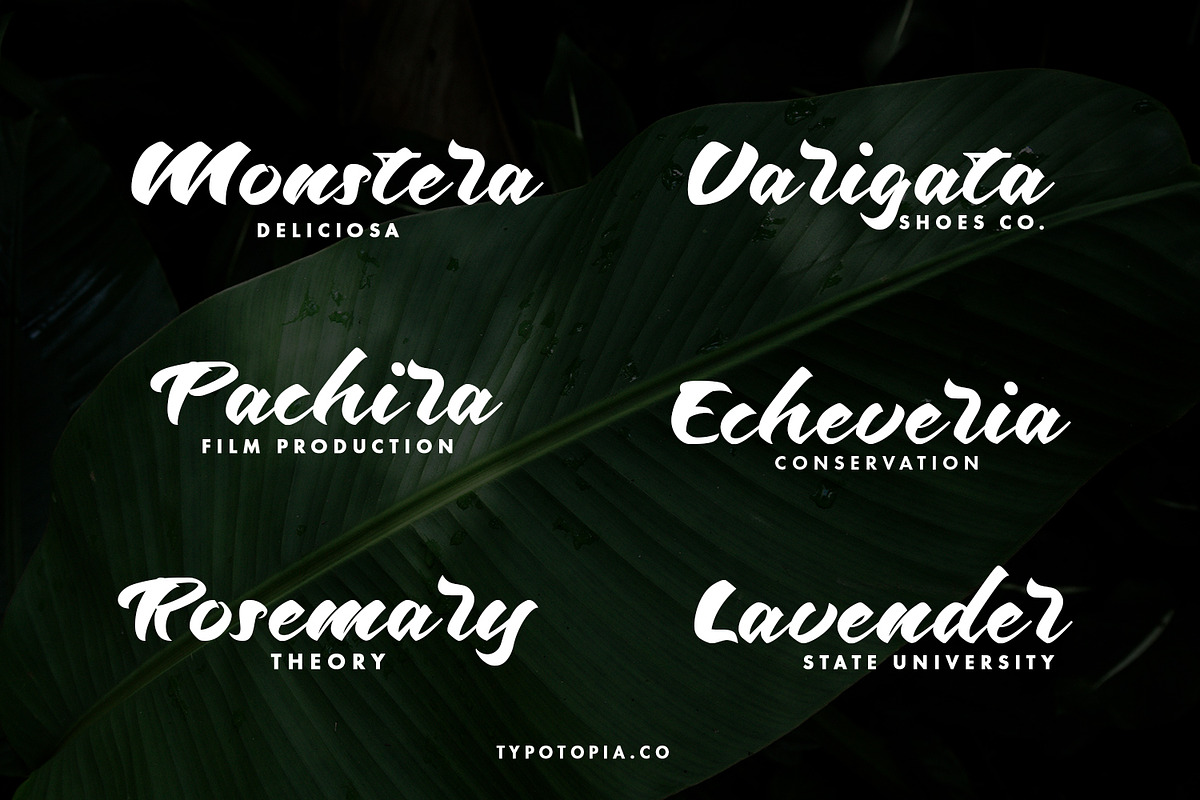 Odenson, a Script Font by edukka (Photo 3 of 10)
