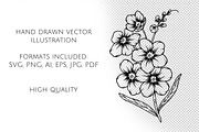 Forget-me-not SVG clipart, an Object Graphic by Dervik Art Store (Thumbnail 7 of 8)