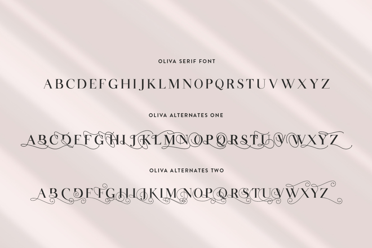 Oliva Serif Font preview 8