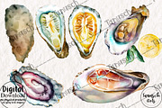 Watercolor oysters clipart, a Food Illustration by TanuschArts (Thumbnail 4 of 5)