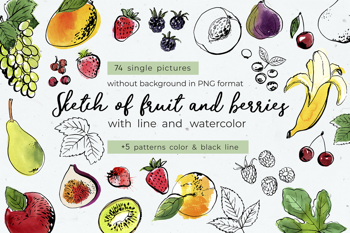 Fruits and berries vector sketch, a Food Illustration by irina.vaneeva (Photo 1 of 11)