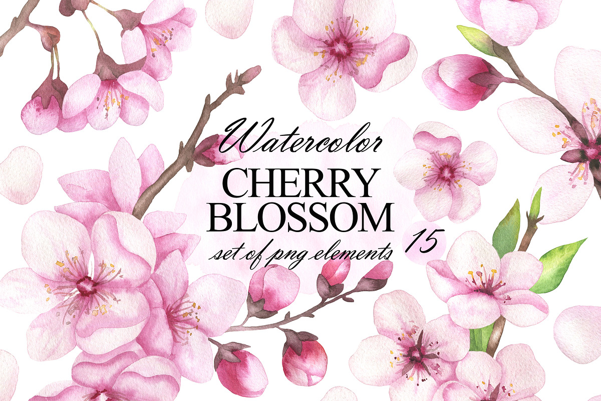 Cherry blossom watercolor clipart, an Illustration by OlDm_Shop (Photo 1 of 6)