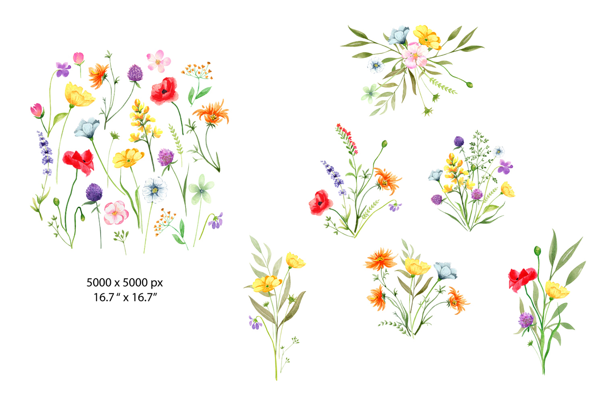 Watercolor Wildflowers clipart, a Decorative Illustration by Lemon design (Photo 4 of 21)