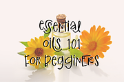 Ginger and Kale, a Sans Serif Font by theinkaffair (Thumbnail 2 of 6)