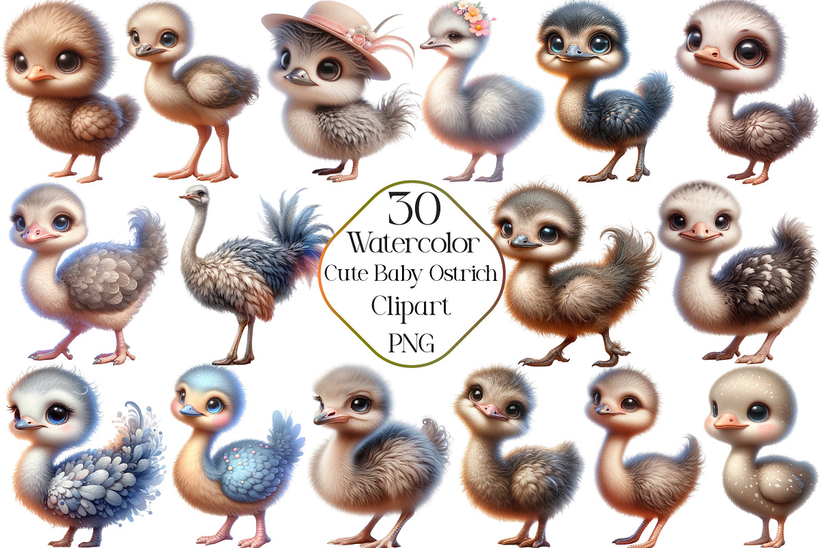 Watercolor Cute Baby Ostrich Clipart, an Illustration by CraftArtStudio (Photo 1 of 5)