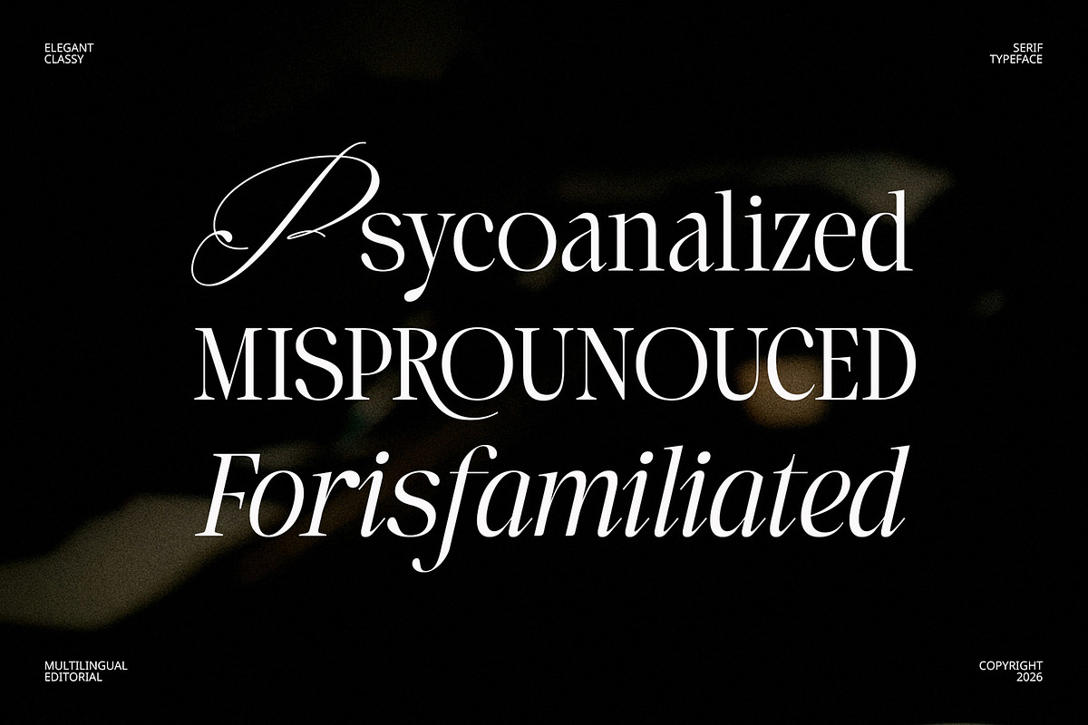 Laught Alize, a Serif Font by Godbless Studio (Photo 5 of 10)