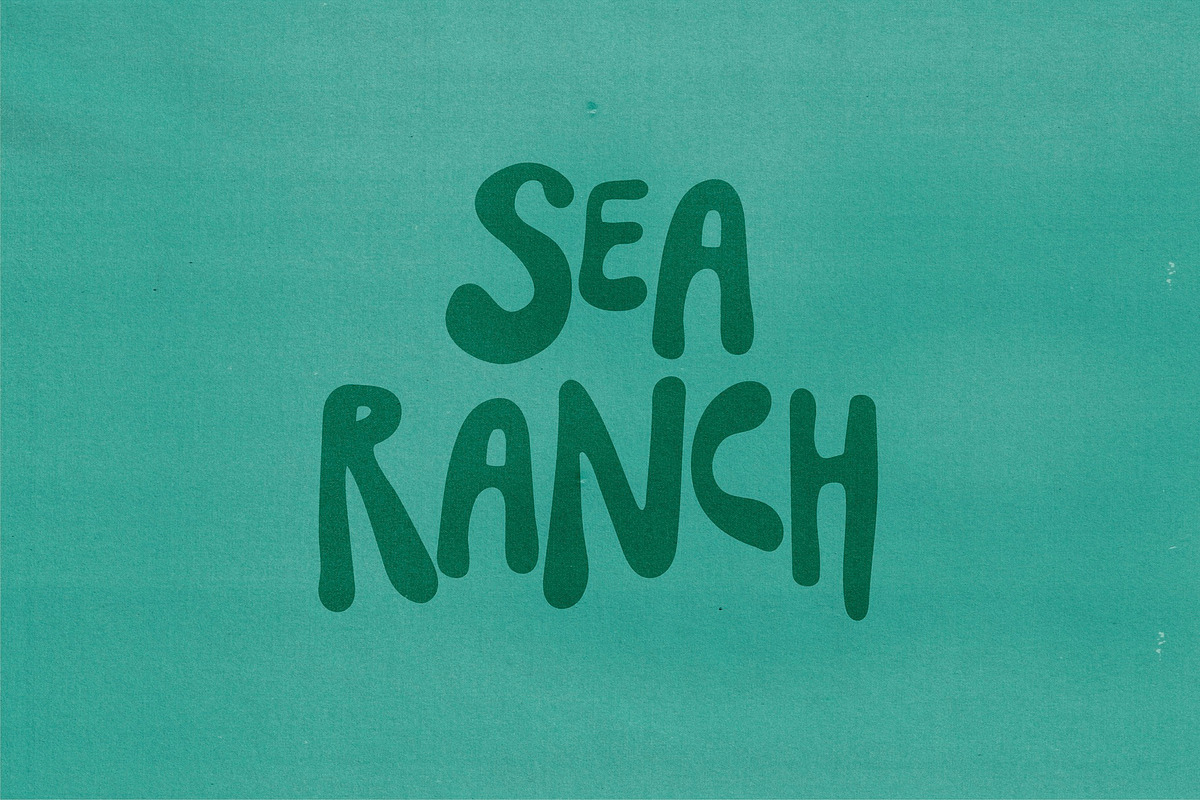 SeaFlower | Hand Drawn Surf Font, a Handwritten Font by Madeline ODonoghue Design (Photo 2 of 3)