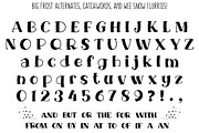 Big Freeze & Big Frost: winter fonts, a Serif Font by Missy Meyer (Thumbnail 8 of 12)
