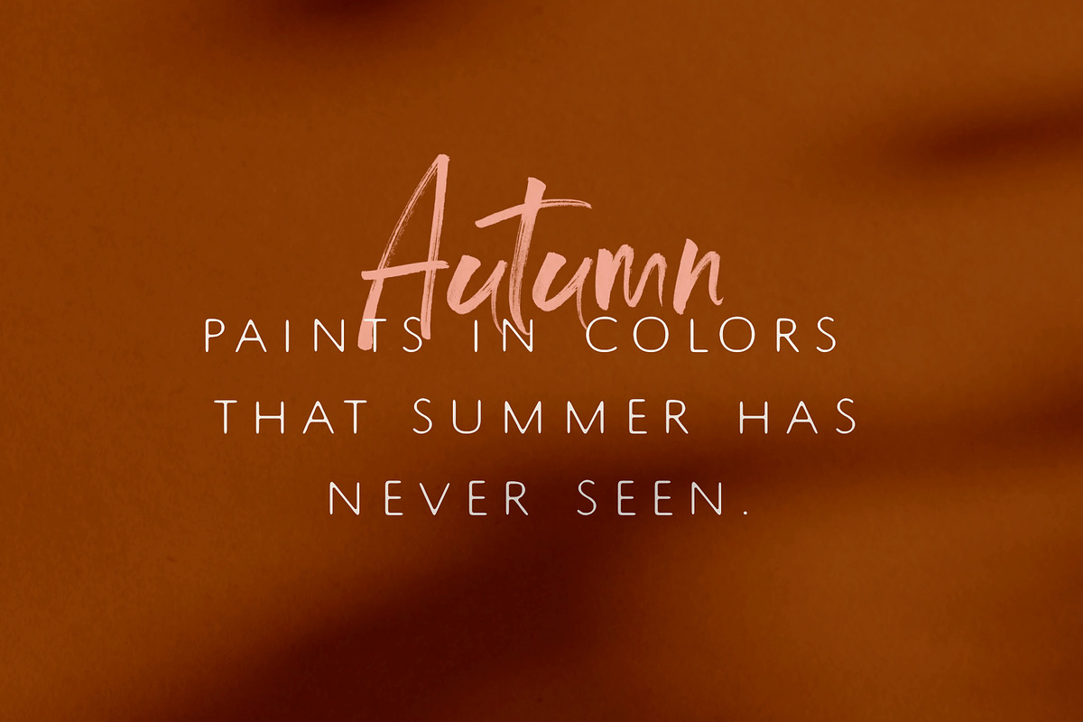 South & North SVG Font Duo preview 5