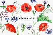 Poppies. Watercolor clip art., an Illustration by Anyuka (Thumbnail 4 of 5)
