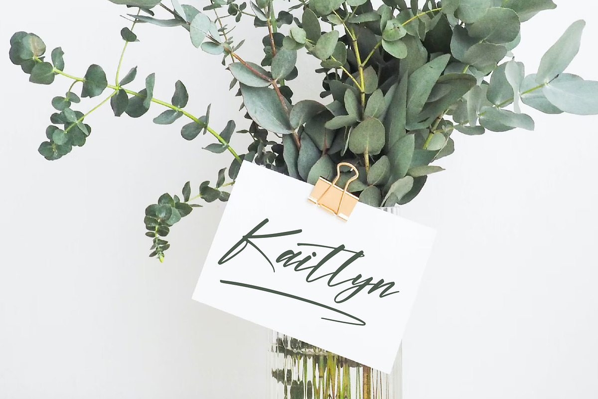 Hunterlost Modern Signature Font, a Script Font by Letterena Studios Script (Photo 2 of 15)