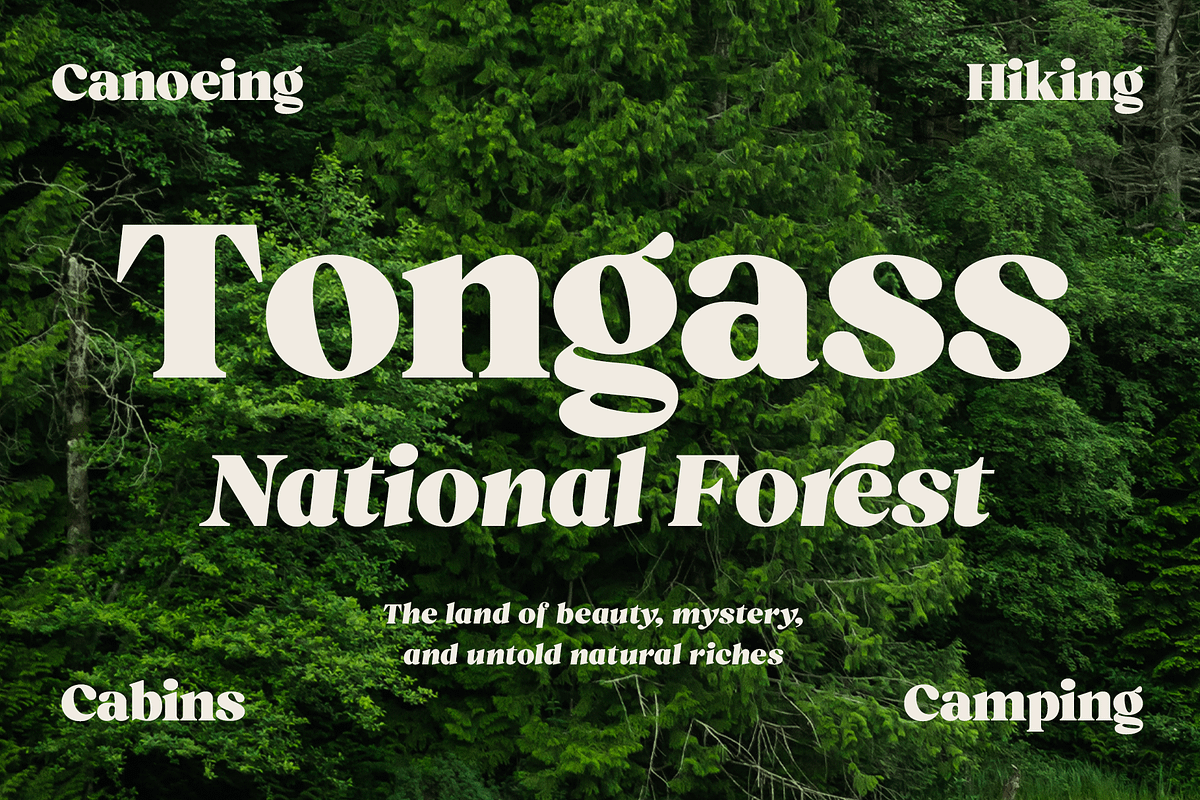 Ashford Stylish Serif, a Serif Font by Fenotype (Photo 9 of 11)