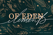 Of Eden | Floral Elements, a Seasonal Illustration by Heart + Soul Studios (Thumbnail 8 of 8)