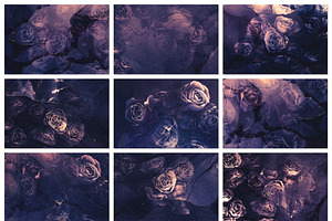 Ink Textures & Moody Roses