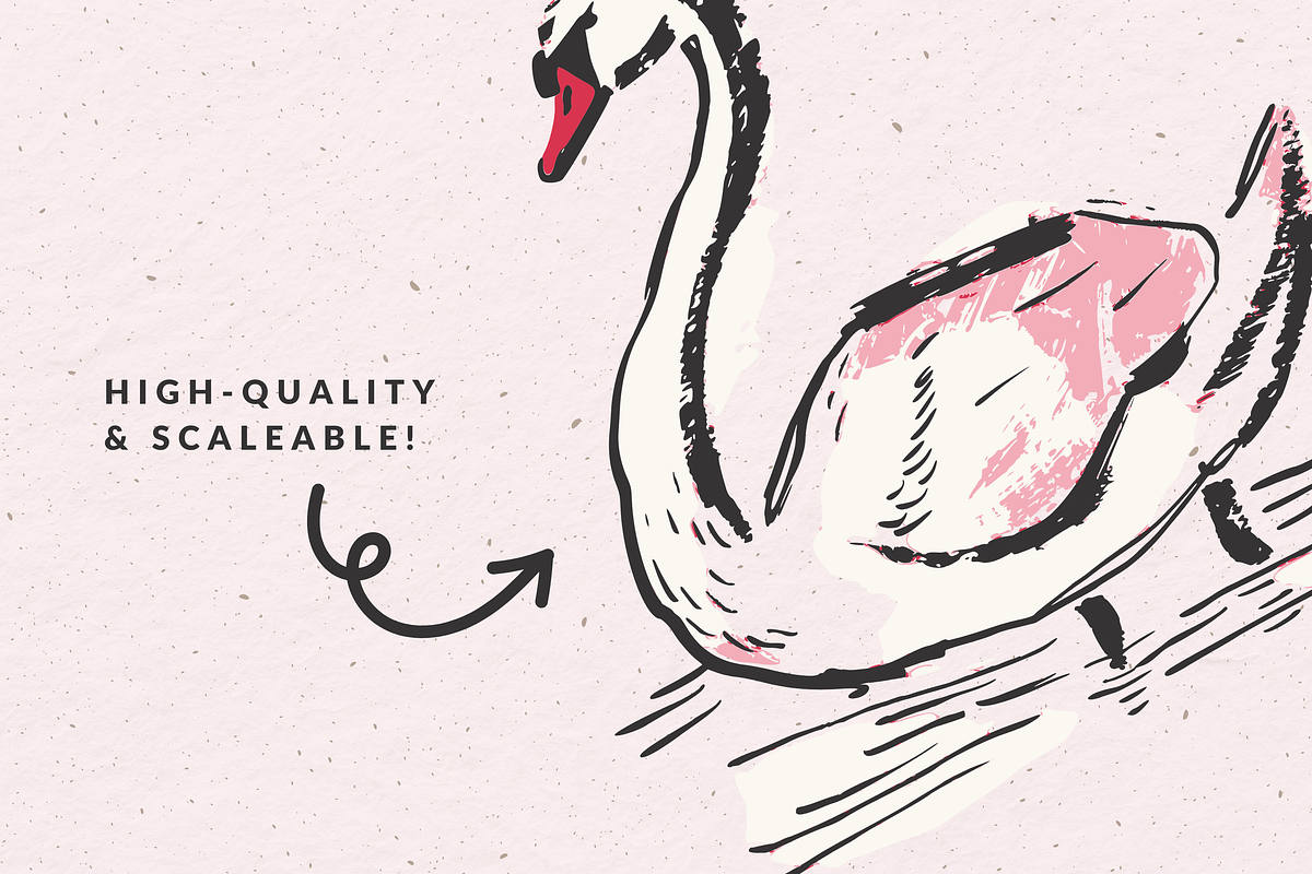 Hand Drawn Swan Illustrations, an Animal Illustration by The October Creative (Photo 3 of 4)