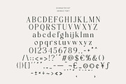 Abigale | Modern Serif Font, a Serif Font by Typoraith Co (Thumbnail 12 of 12)