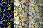 3 Botanical Vintage Patterns, a Pattern Graphic by Sunny_Lion (Thumbnail 1 of 4)