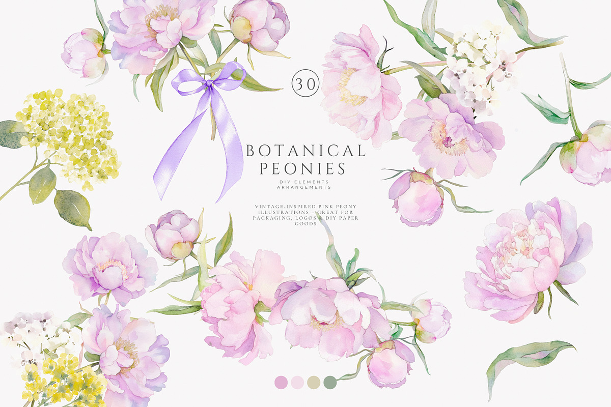 watercolor coquette pink peony set, a Decorative Illustration by Patishop Art (Photo 1 of 10)