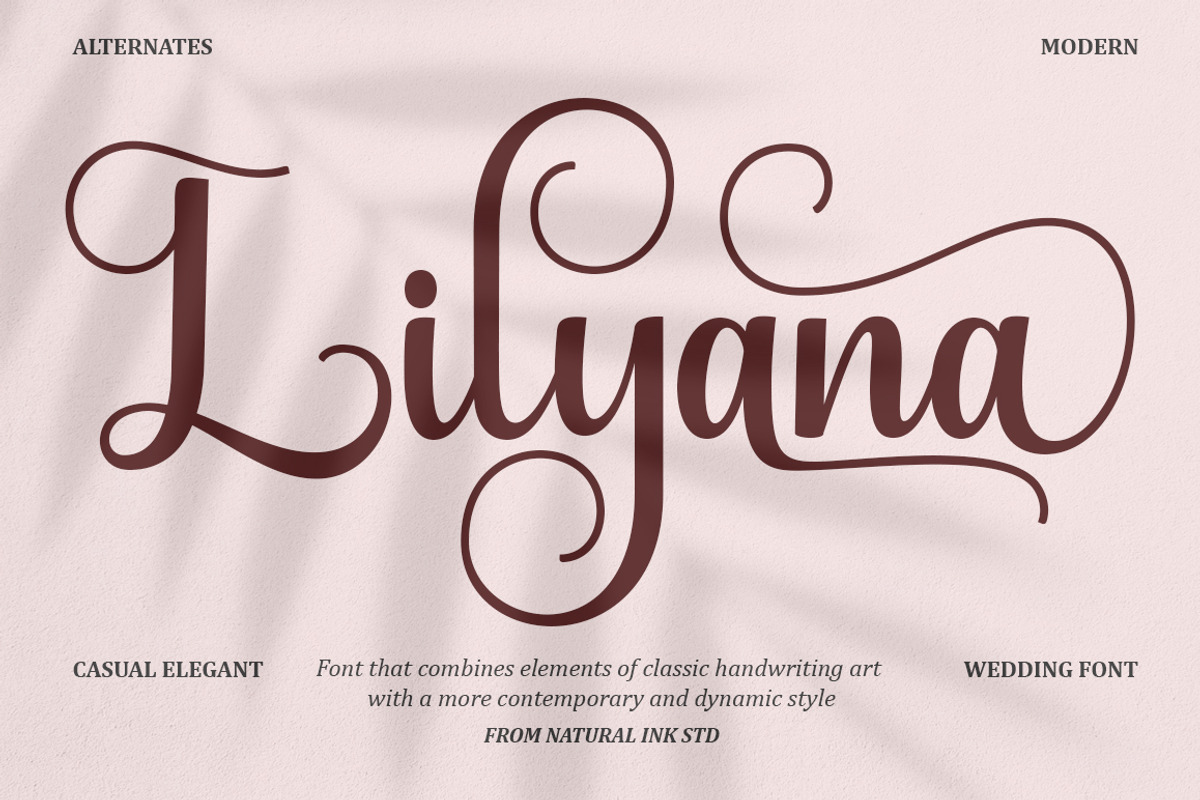 Lilyana Script, a Script Font by Natural Ink Studio (Photo 8 of 8)