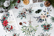 Cardinal Bird Watercolor Christmas, a Decorative Illustration by Inna Sinano (Thumbnail 4 of 10)