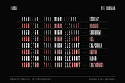 Salvegy Elegant & Tall Sans Serif, a Sans Serif Font by Lettertype Studio (Thumbnail 2 of 15)