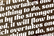 Misflen Radio Modern Bold Serif, a Serif Font by Letterena Studios (Thumbnail 10 of 15)