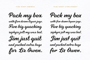 Tilda Script — stylish font family, a Script Font by Roman Polishchuk (Thumbnail 2 of 6)