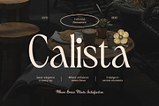 CS Finegan – Elegant Font, a Serif Font by Craft Supply Co. (Thumbnail 3 of 8)