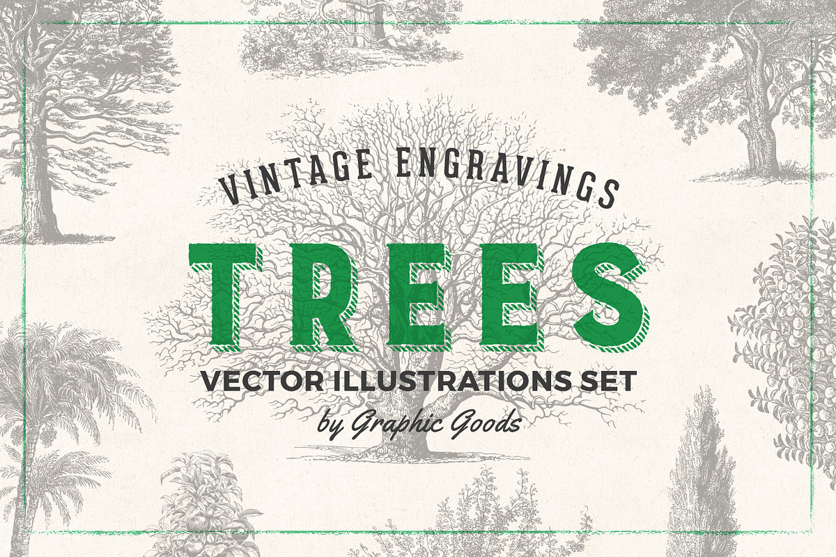 Trees - Vintage Illustrations Set, an Illustration by Graphic Goods (Photo 1 of 10)